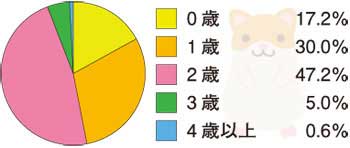 ハムスターの火葬