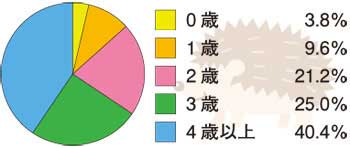 ハリネズミの火葬