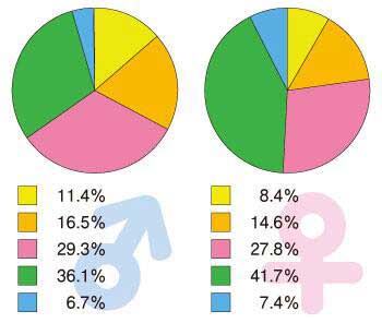 猫の火葬性別割合}