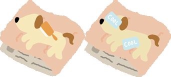 ペット火葬 安置