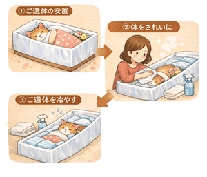 火葬前にペットの体を整え安置する工程のイメージ